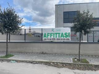 Zona