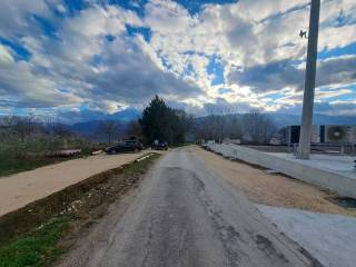 Zona