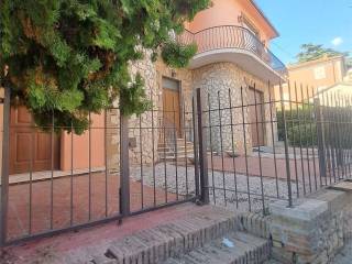 Zona