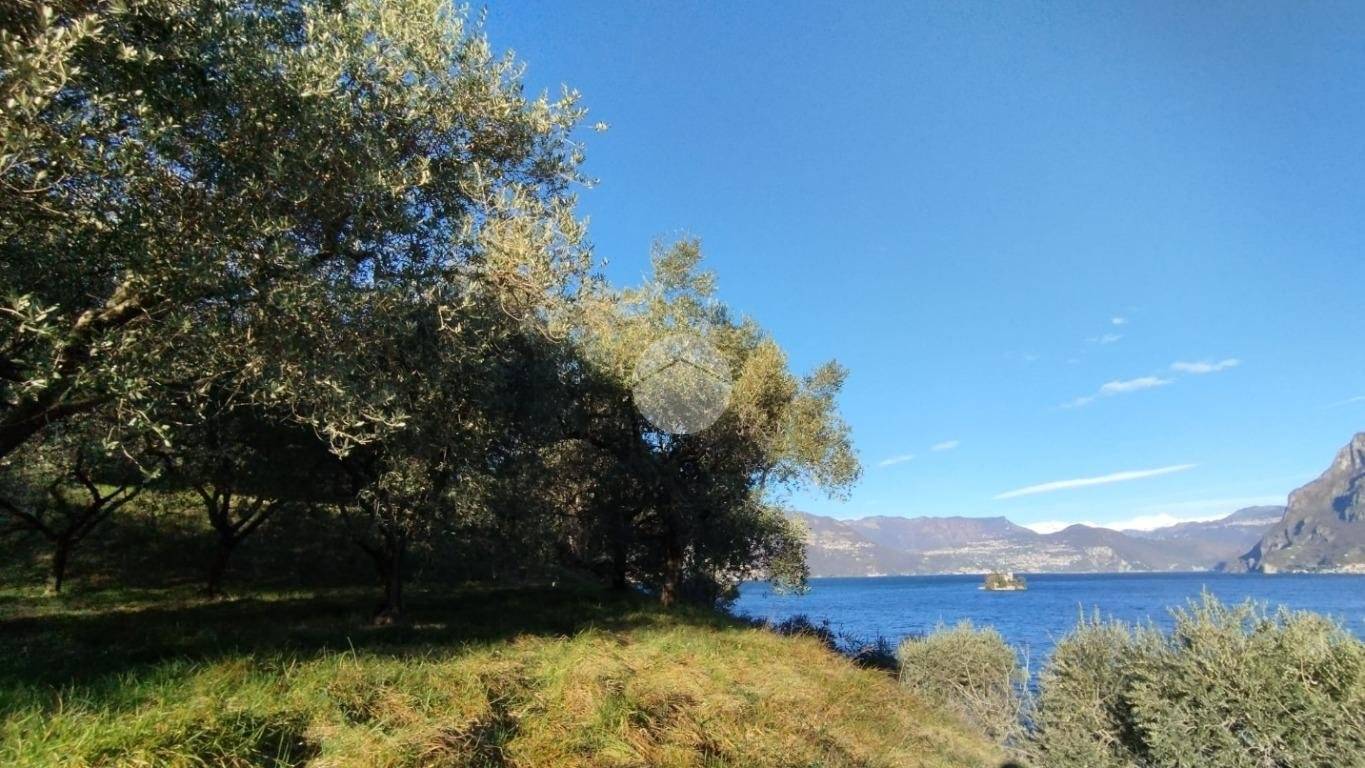 Rustico - Casale in vendita a Monte Isola