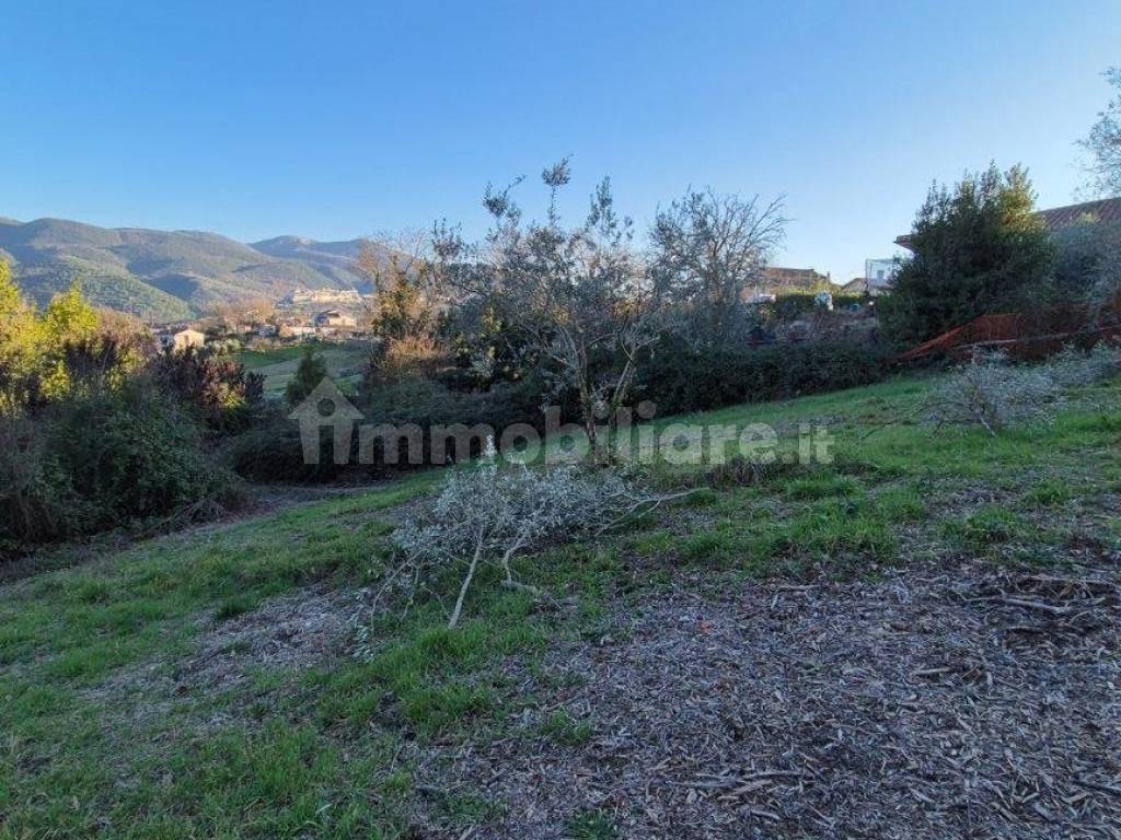 Terreno