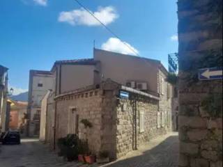 Zona