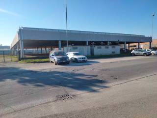 Zona