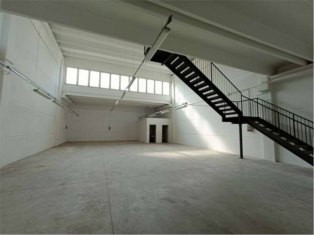 Capannone, carpi