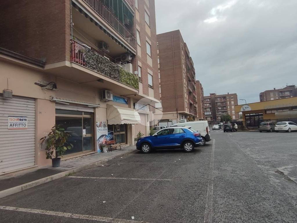 Zona