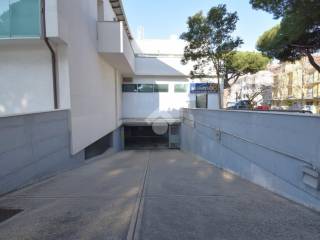 Zona