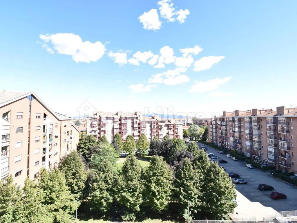 Vista