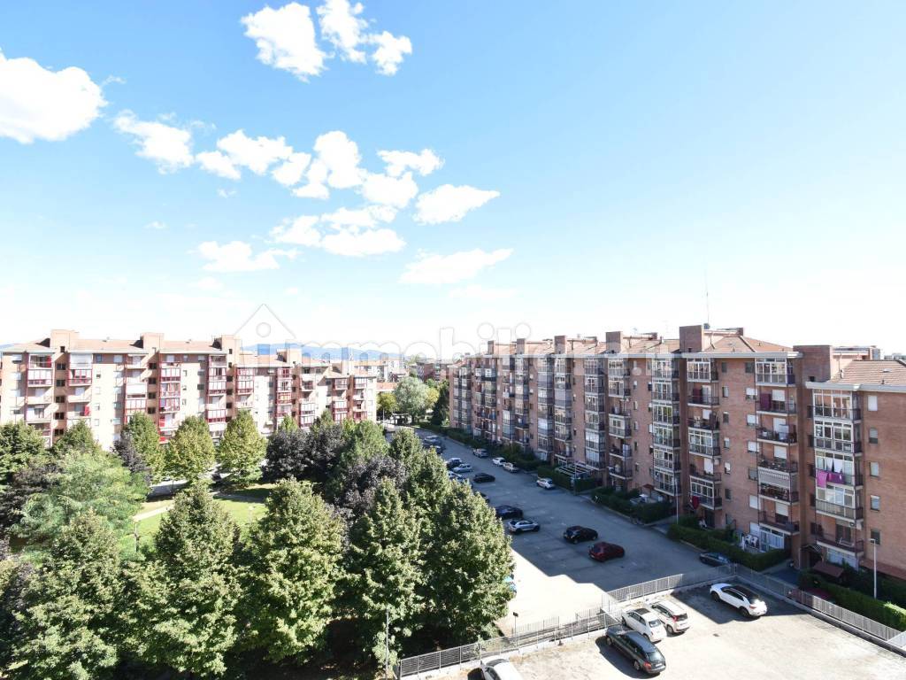 Vista
