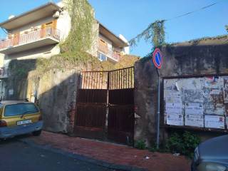 Zona