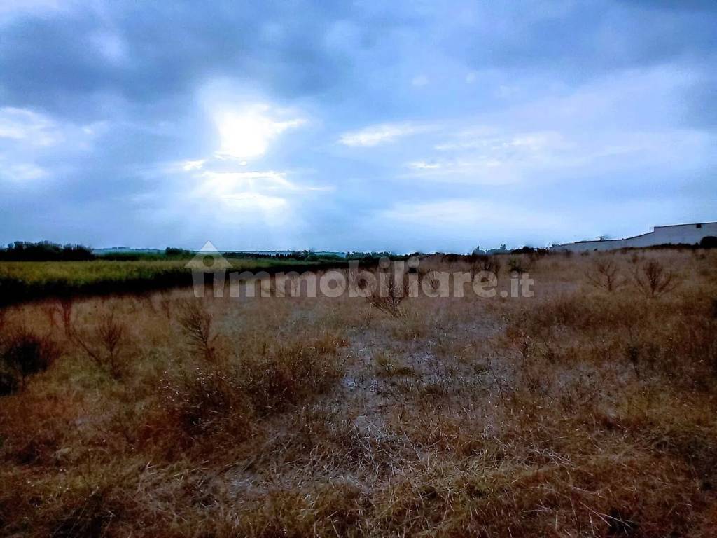 Terreno