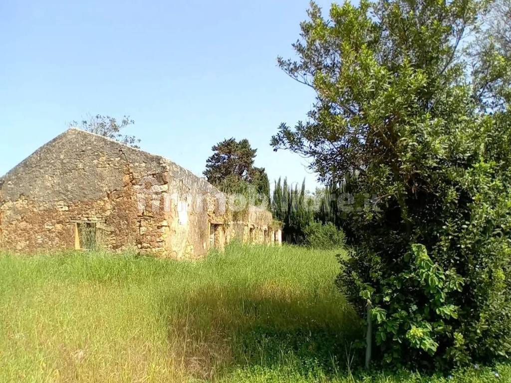 Terreno