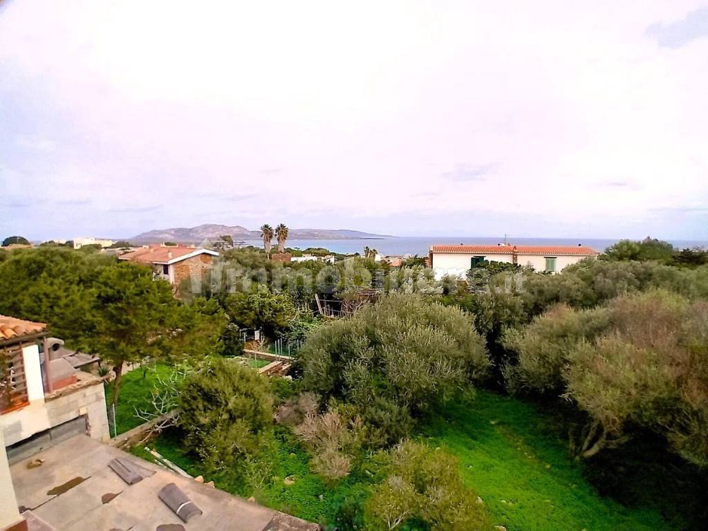 Vista