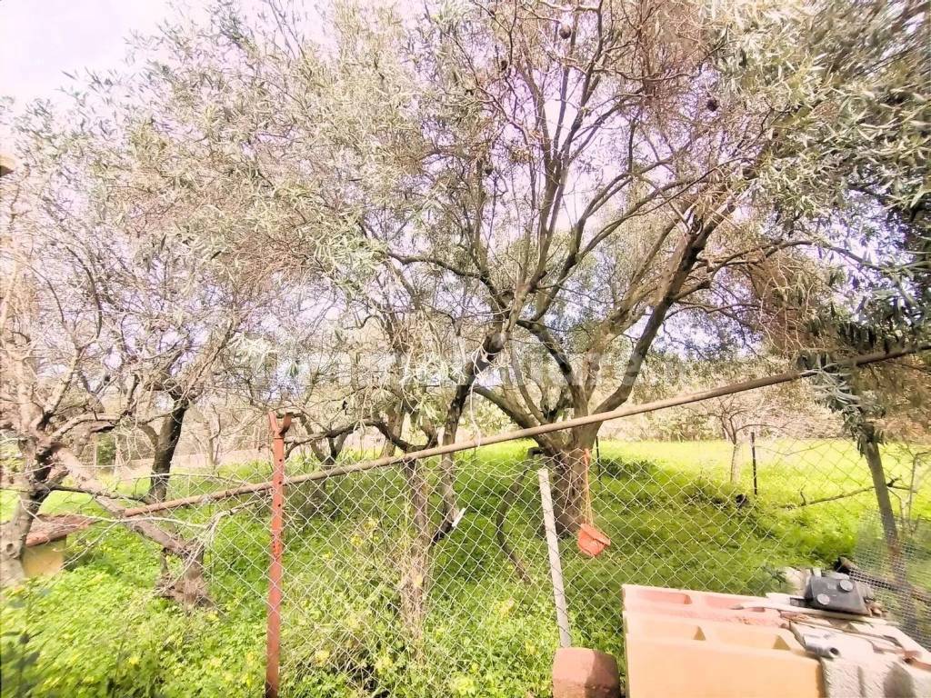 Terreno