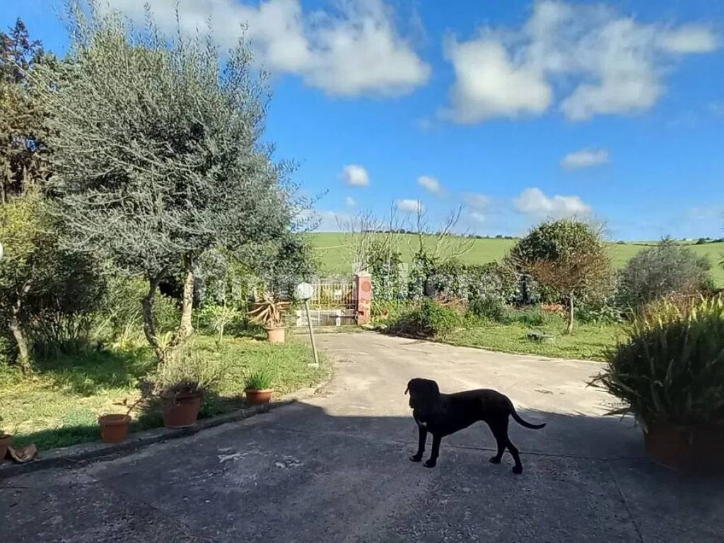 Giardino