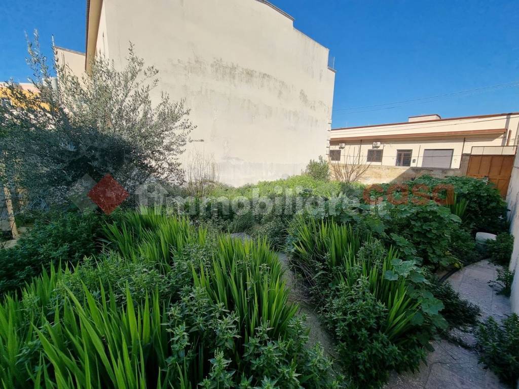 Giardino