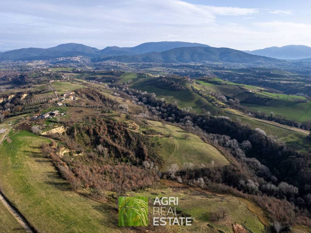 Terreno agricolo, rieti
