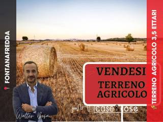 Altro
