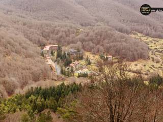 Vista