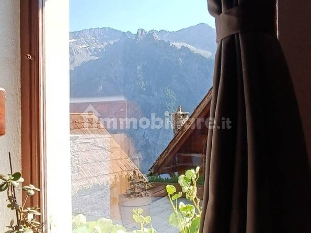 Vista