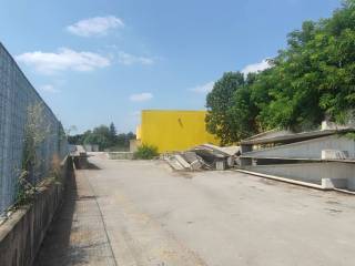 Zona