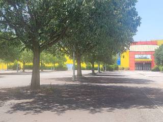 Zona