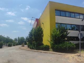 Zona