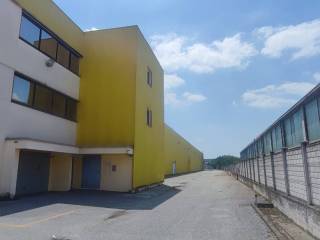 Zona