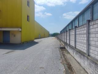 Zona