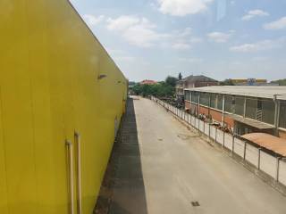 Zona
