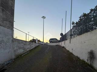 Zona