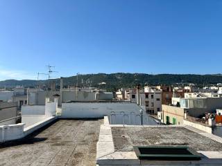 Vista