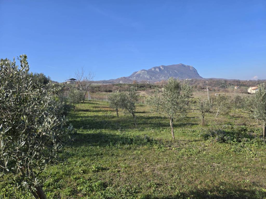 Terreno agricolo via santo stefano, montemarano