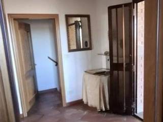 Ingresso