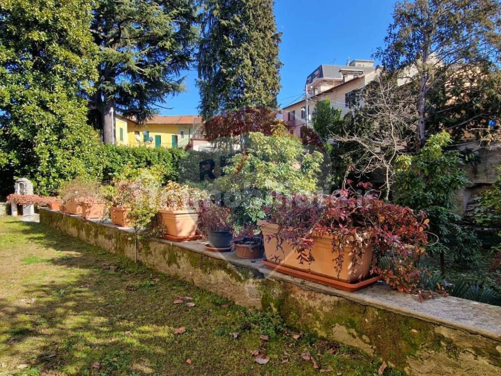 Giardino