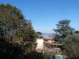 Vista