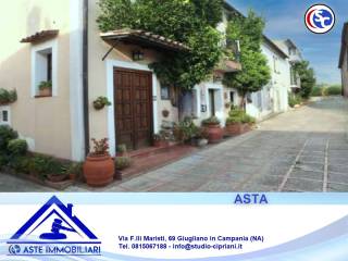 Zona