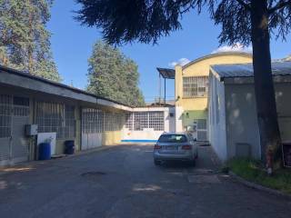 Zona