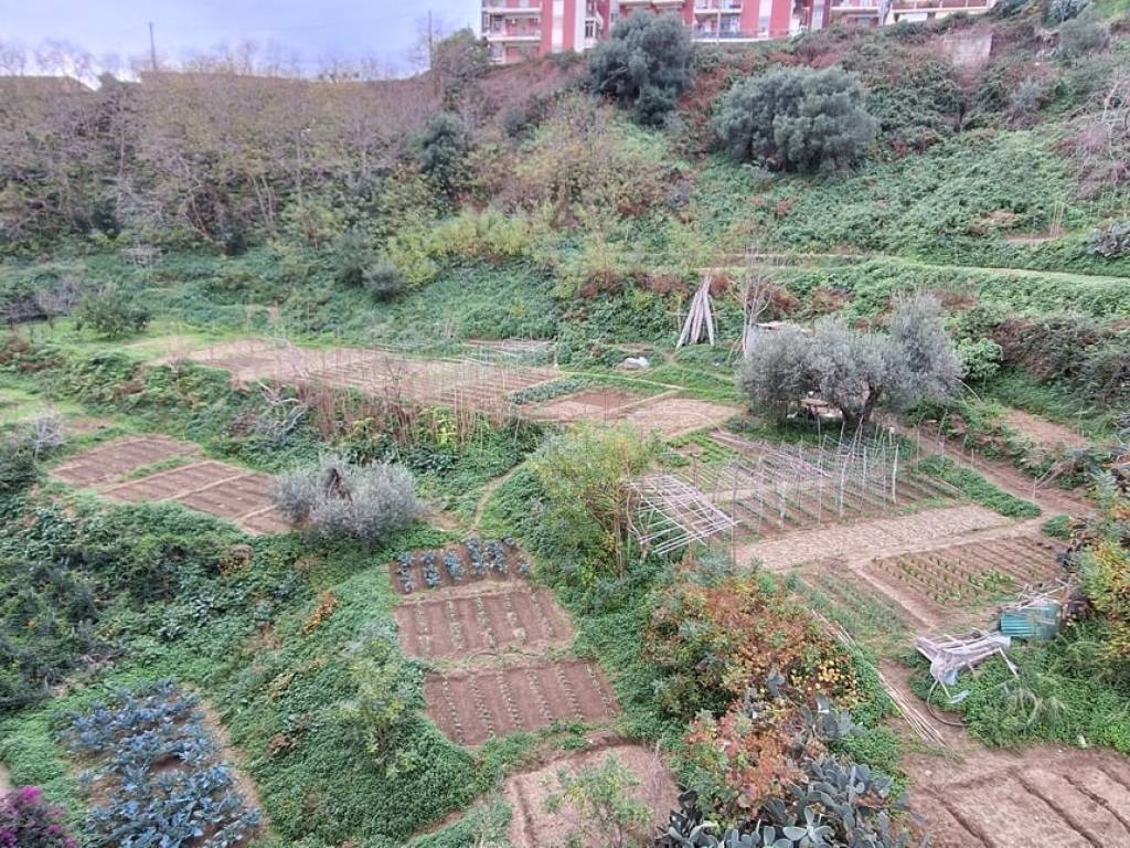 Terreno agricolo salita tre monti, sn, san licandro, messina