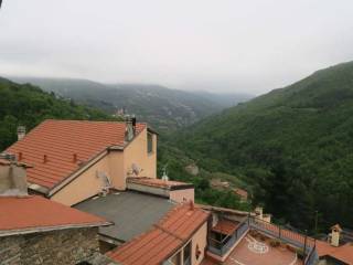 Vista