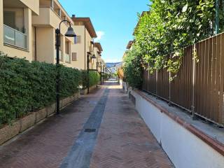 Zona