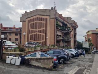Zona