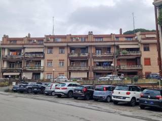 Zona