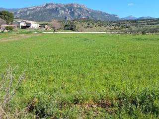 Terreno