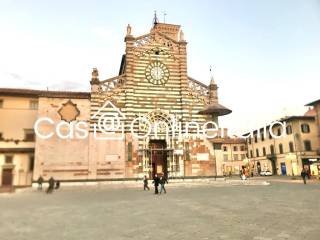 Zona
