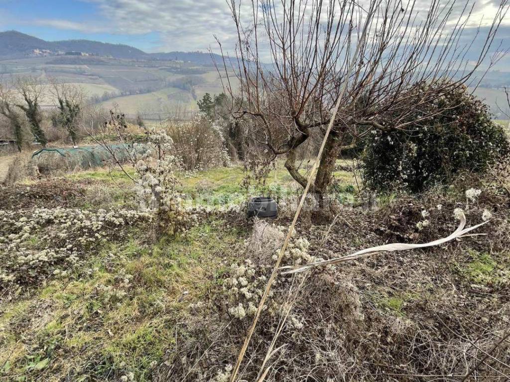 Terreno