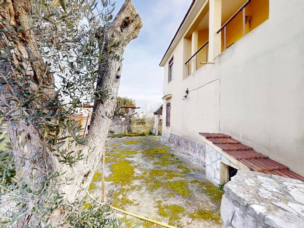 Giardino