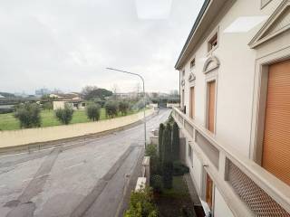 Zona