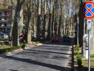 Zona