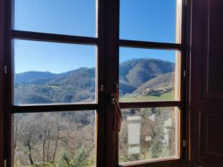 Vista