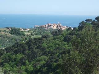 Vista